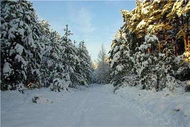 《勇者斗恶龙3》HD-2D重制版预告 11月14日发售